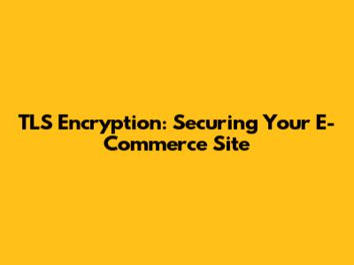 TLS Encryption: Securing Your E-Commerce Site