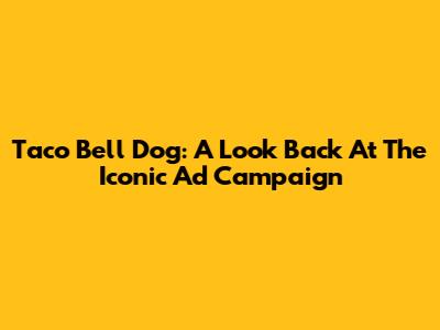 Taco Bell Dog: A Look Back At The Iconic Ad Campaign