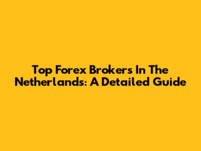 Top Forex Brokers In The Netherlands: A Detailed Guide
