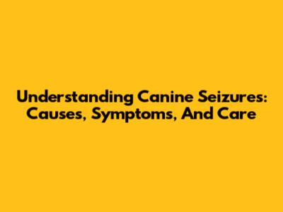 Understanding Canine Seizures: Causes, Symptoms, And Care