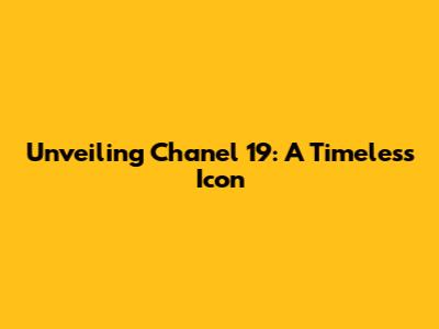 Unveiling Chanel 19: A Timeless Icon