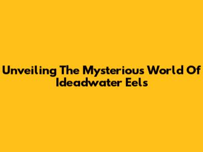 Unveiling The Mysterious World Of Ideadwater Eels