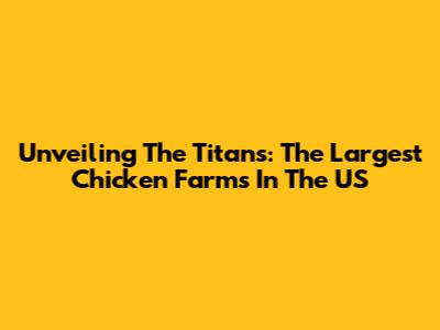Unveiling The Titans: The Largest Chicken Farms In The US