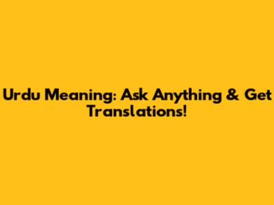 Urdu Meaning: Ask Anything & Get Translations!