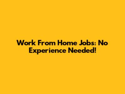 Work From Home Jobs: No Experience Needed!