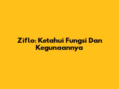Ziflo: Ketahui Fungsi Dan Kegunaannya